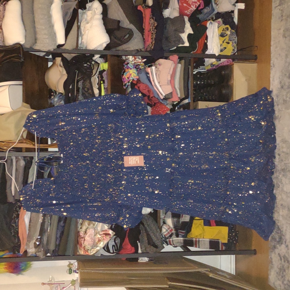 NWT Ivy City | Starry Maxi Dress